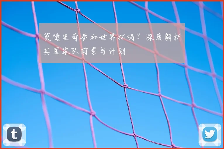 莫德里奇参加世界杯吗？深度解析其国家队前景与计划