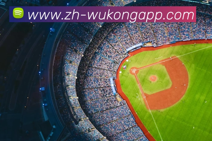 悟空体育appAPP 封面图